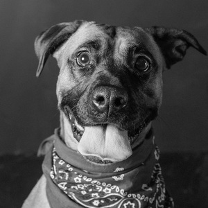 Fundraising Page: Maple Stevenson